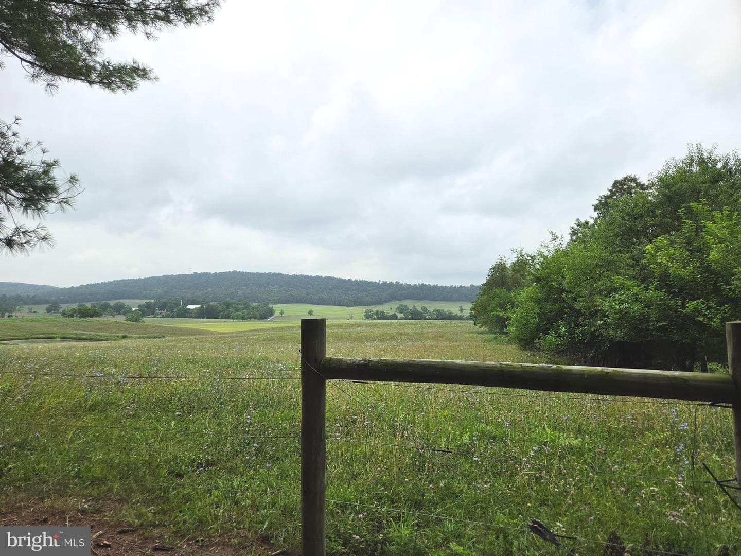 1611 Apple Pie Ridge Road photo 8
