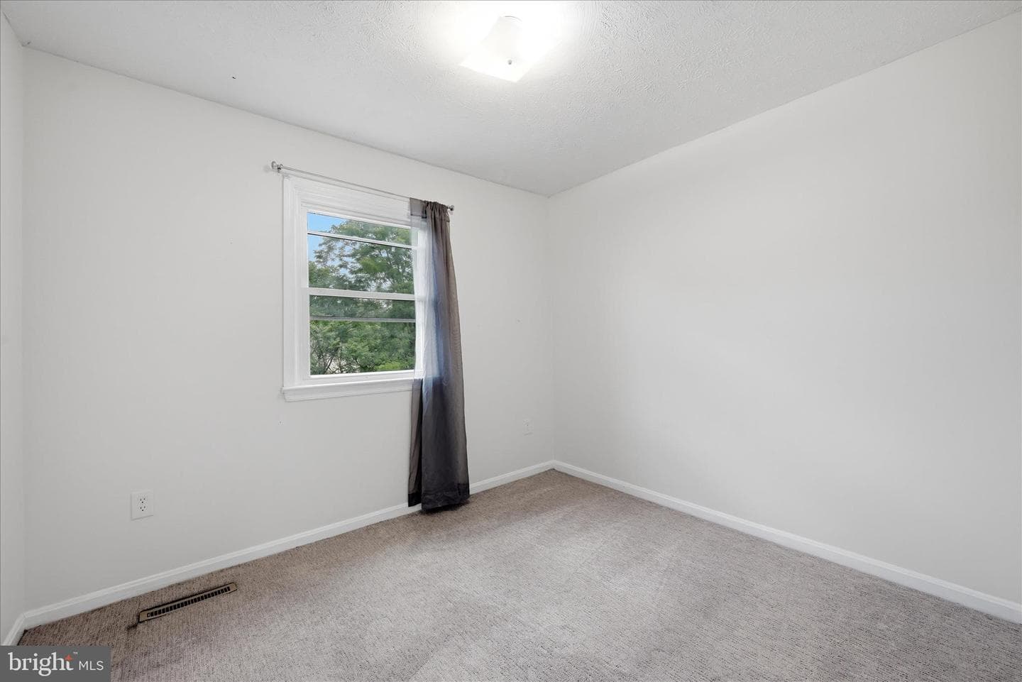 304 Ash Hollow Drive photo 19