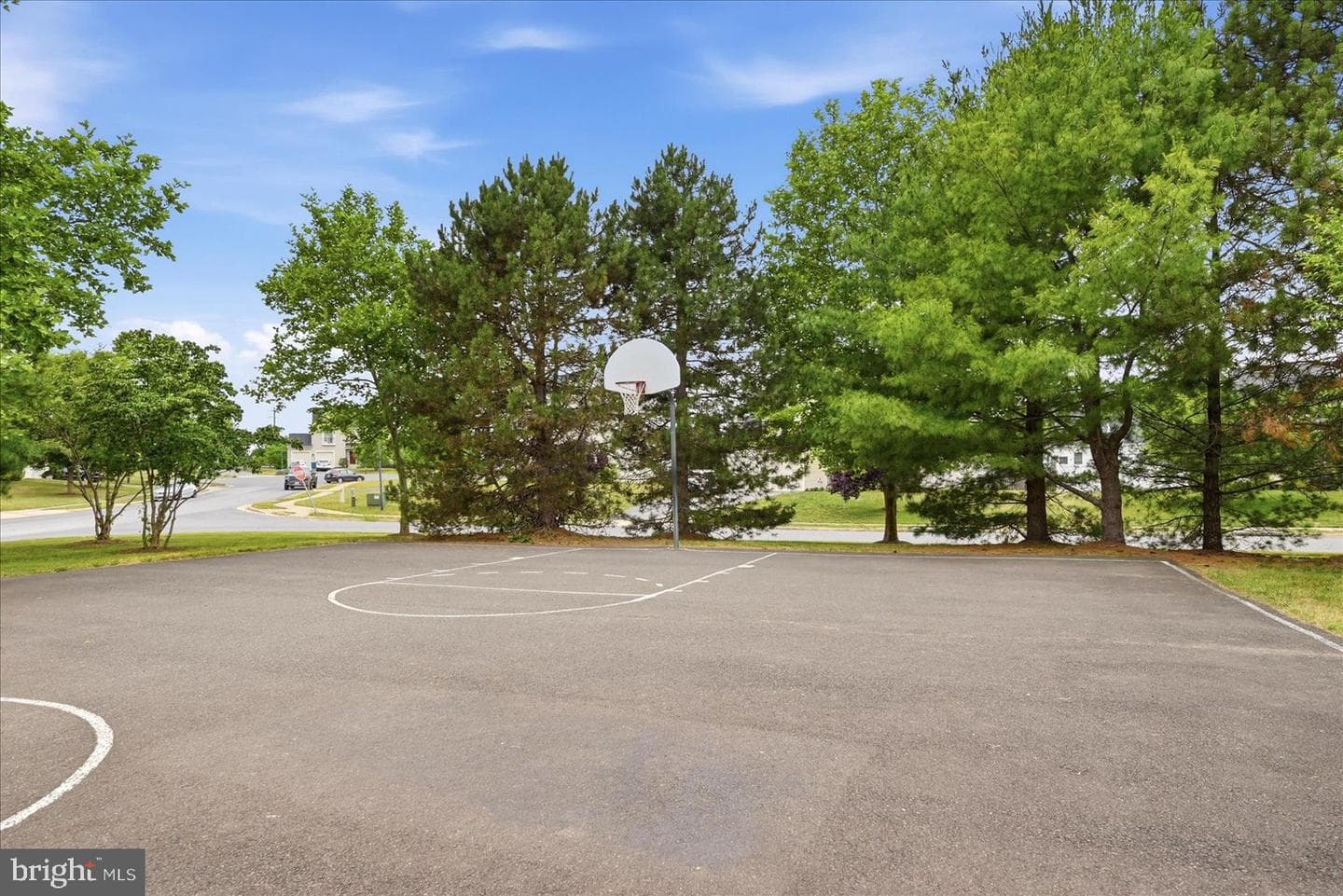 104 Panmure Lane photo 39