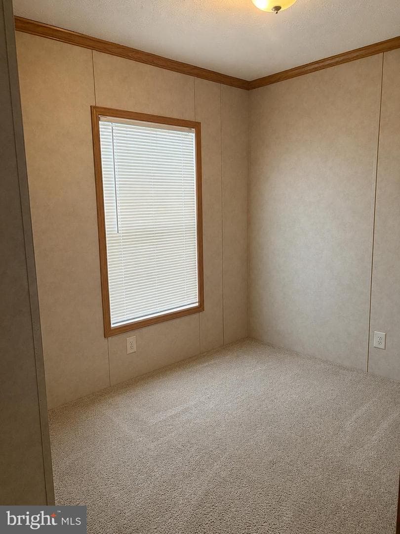 105 Chamberlain Court photo 16
