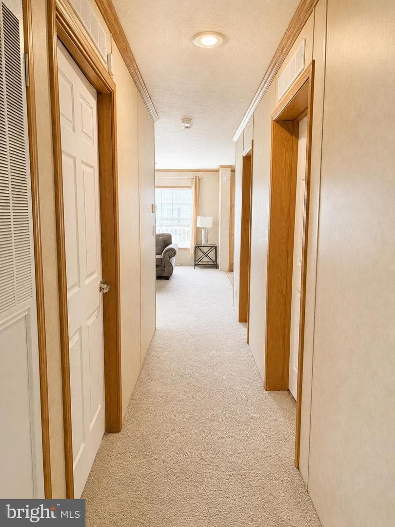 105 Chamberlain Court photo 9
