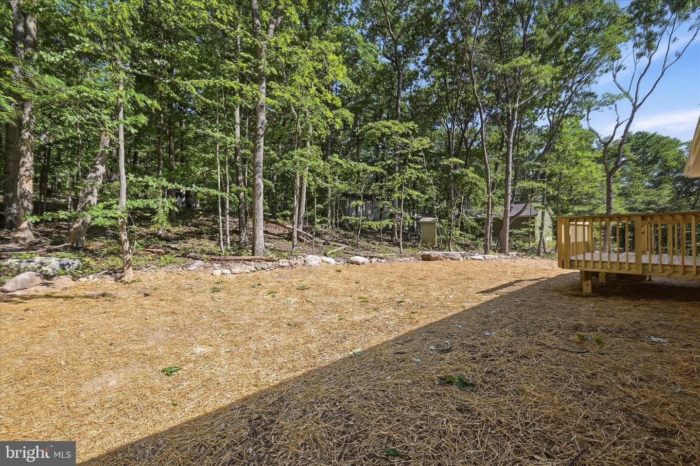 805 Pheasant Drive photo 47