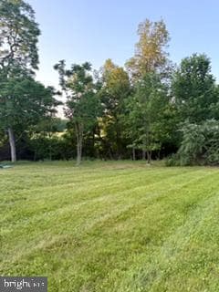 437 Shady Creek Road photo 20