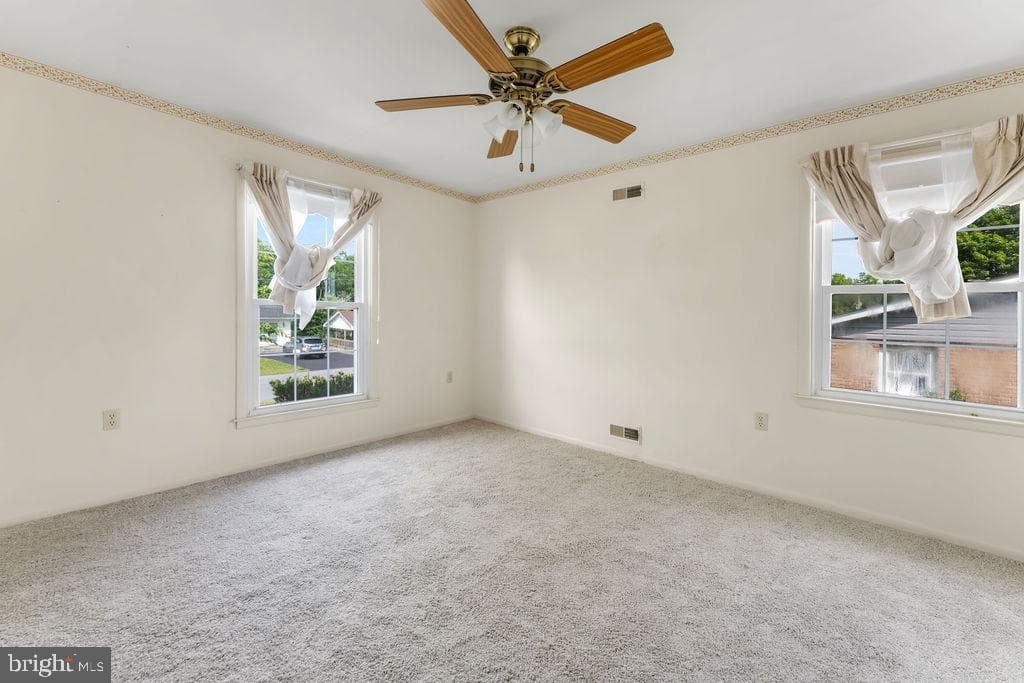 114 Williamson Road photo 23