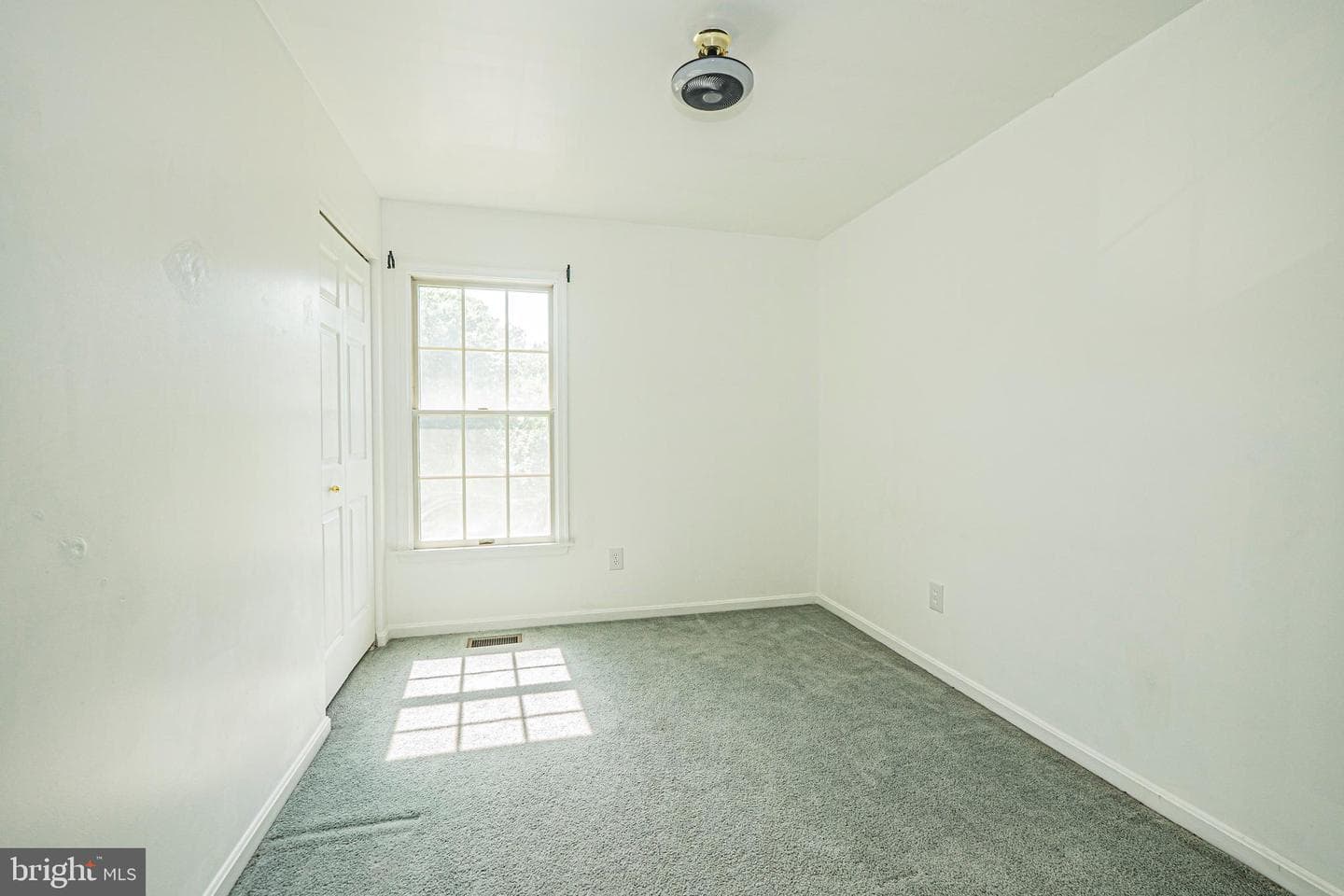 123 Etnam Street photo 24