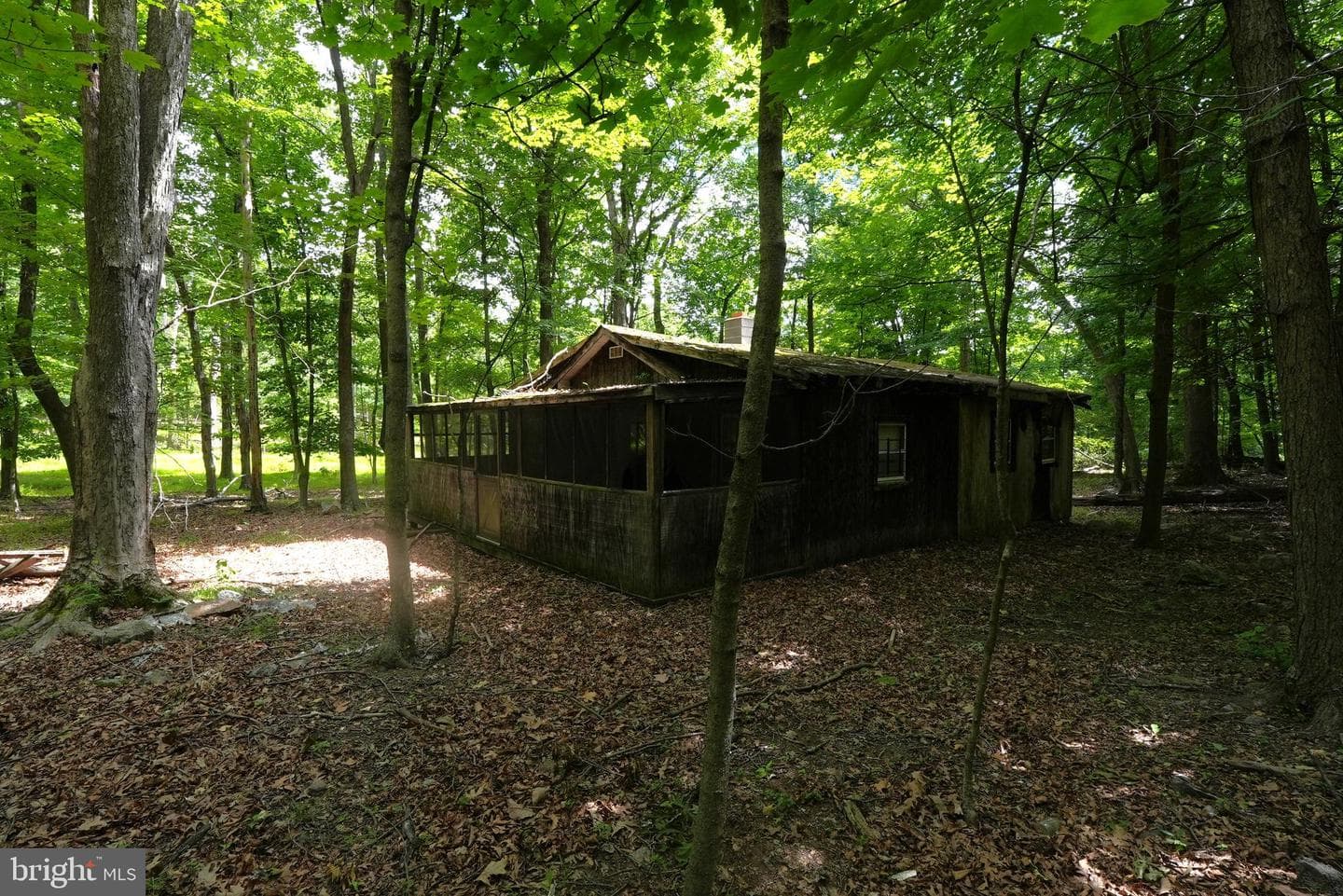 1917 S Timber Ridge photo 10