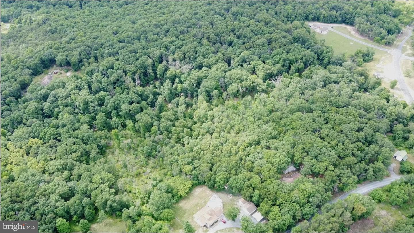 1917 S Timber Ridge photo 16