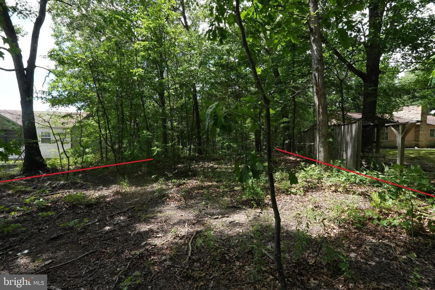 1917 S Timber Ridge photo 4