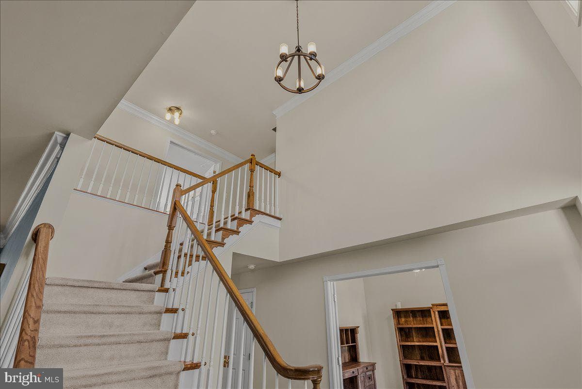 108 Norfolk Court photo 29