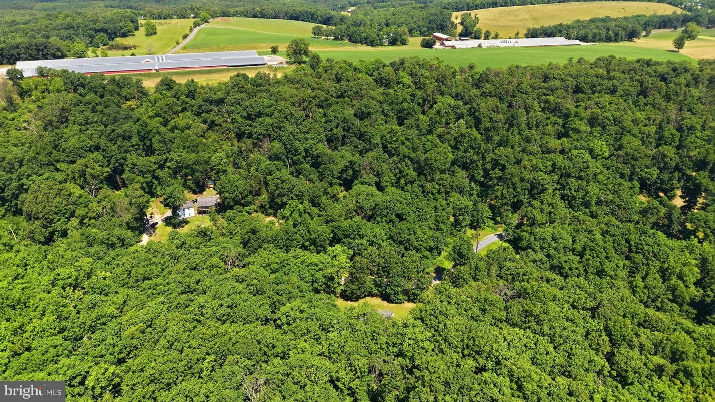 1210 Logger Drive photo 40