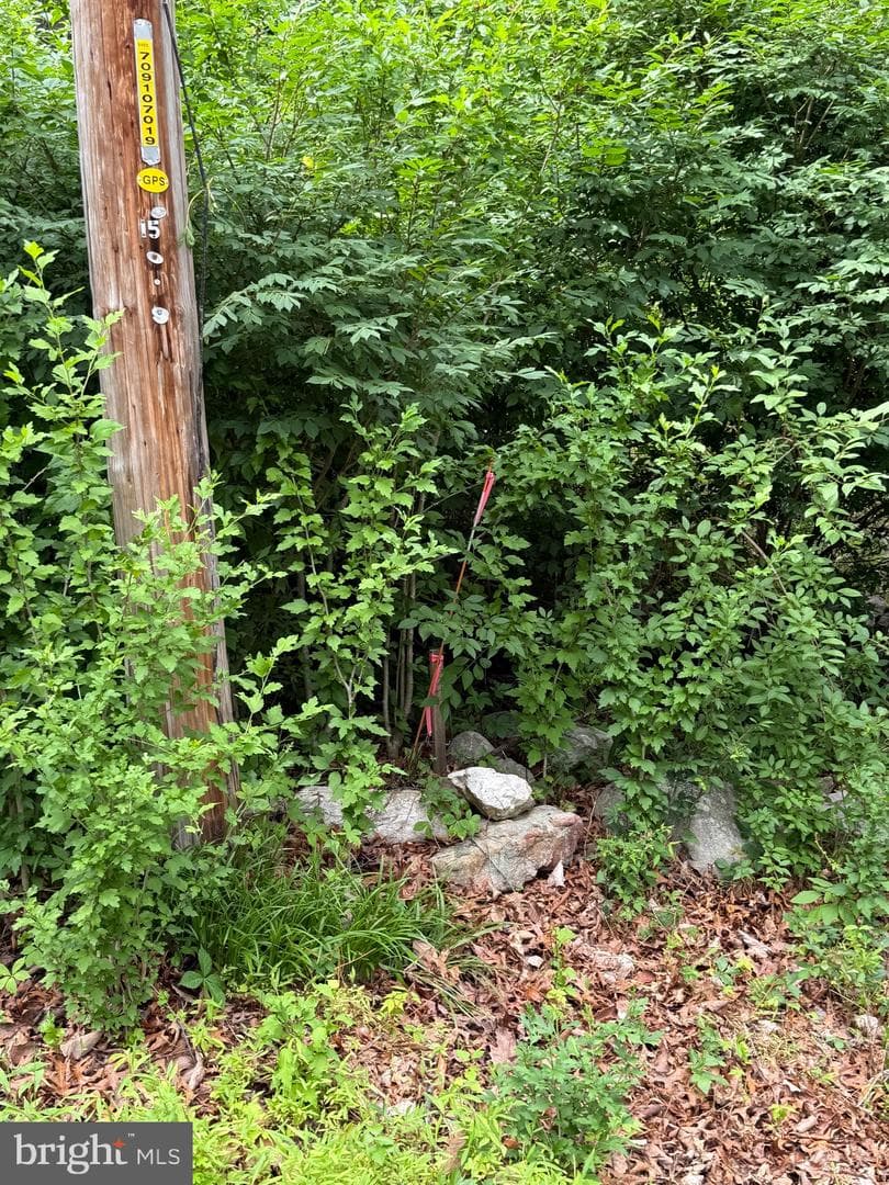 616 Opossum Trail photo 14