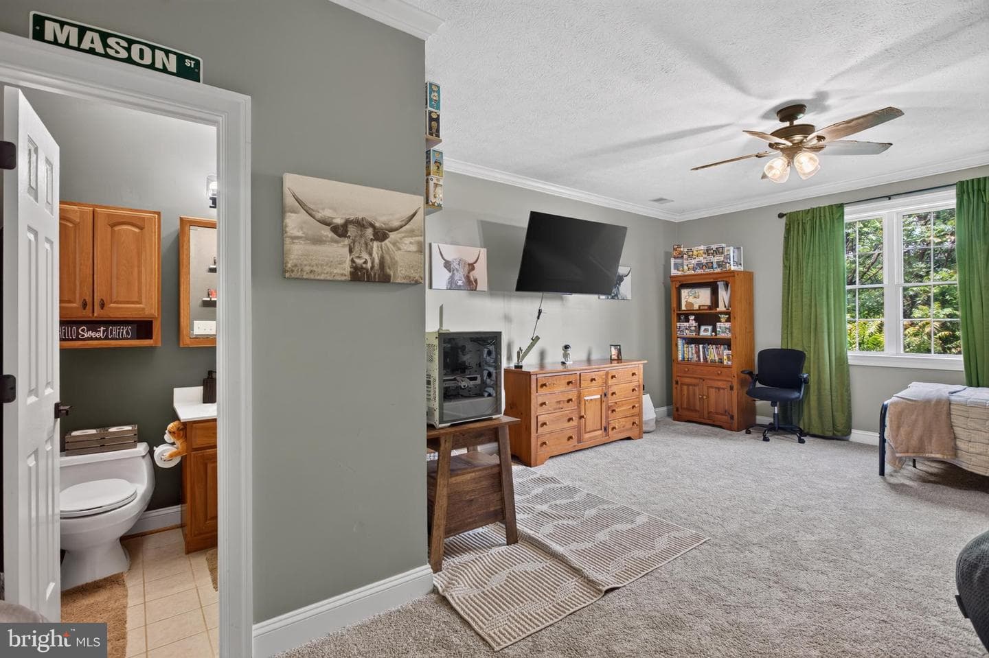 356 Chimney Circle photo 47