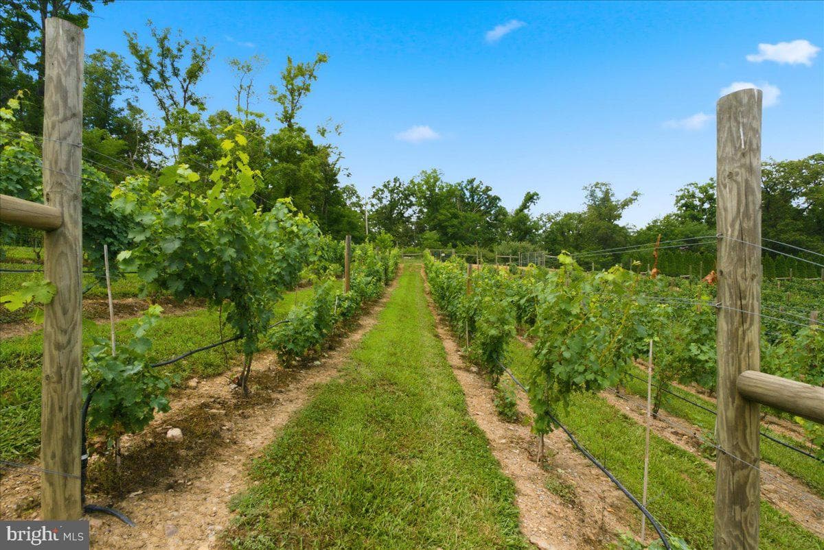 1309 Redland Road photo 81