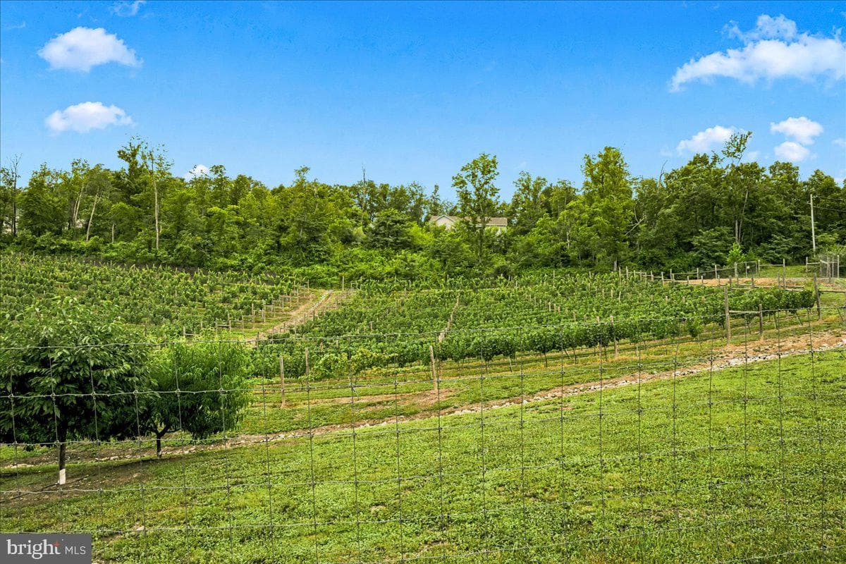1309 Redland Road photo 86
