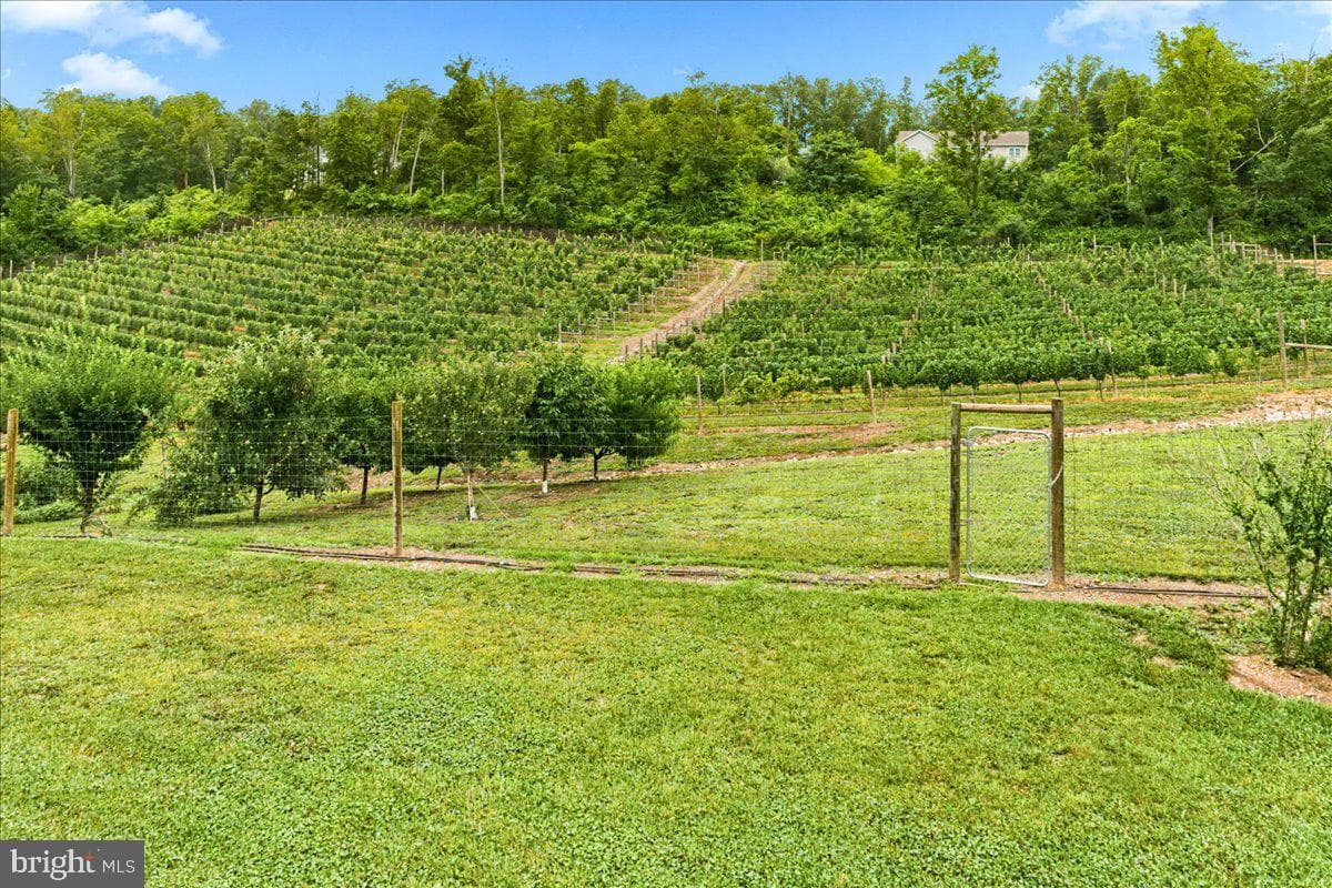 1309 Redland Road photo 93