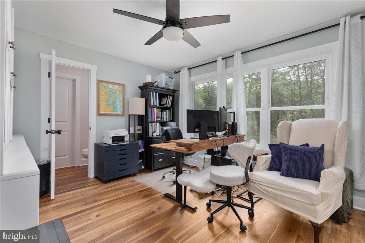243 Vesper photo 17