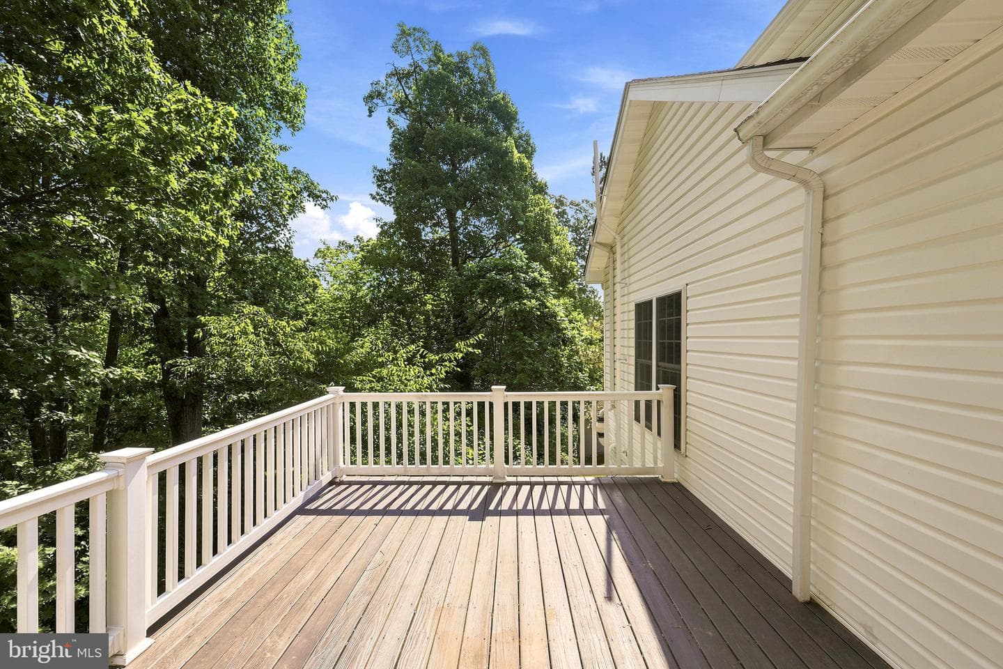 151 Travis Court photo 47