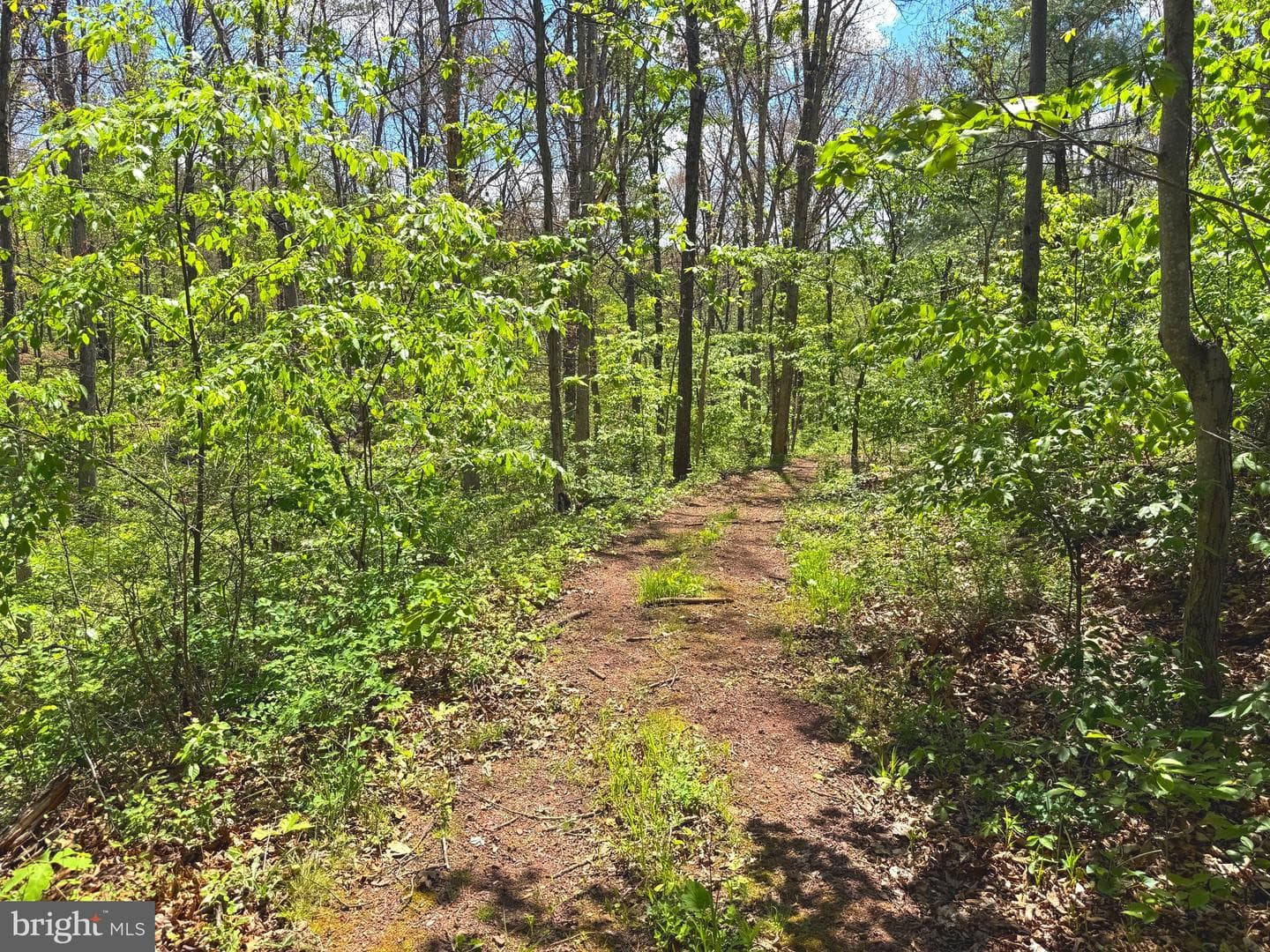3764 Northwestern Pike photo 38