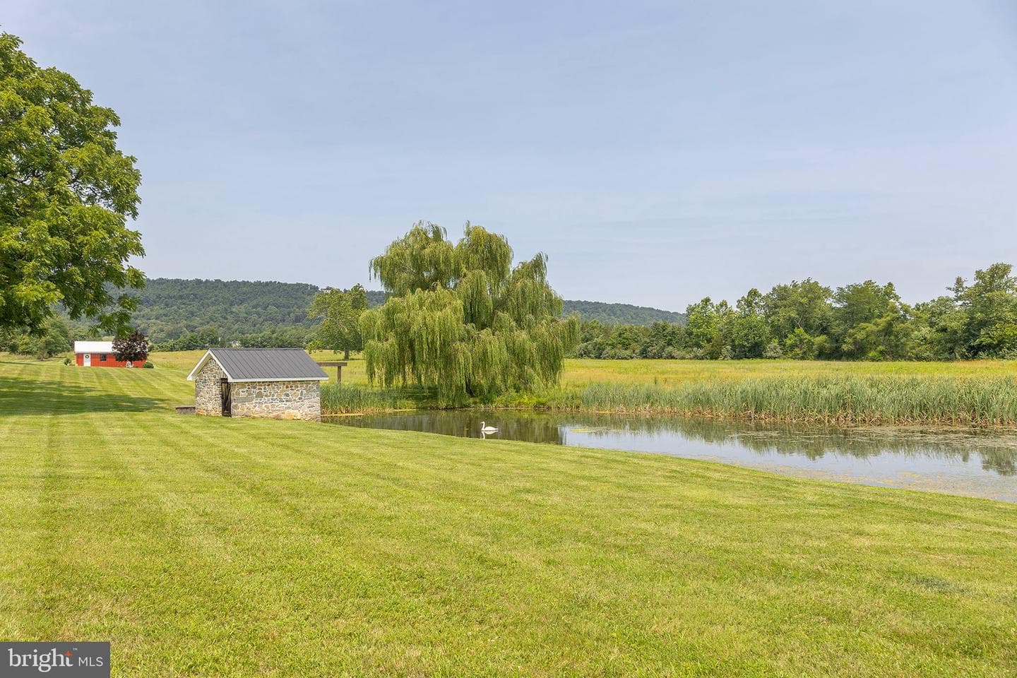 582 Miller Road photo 75