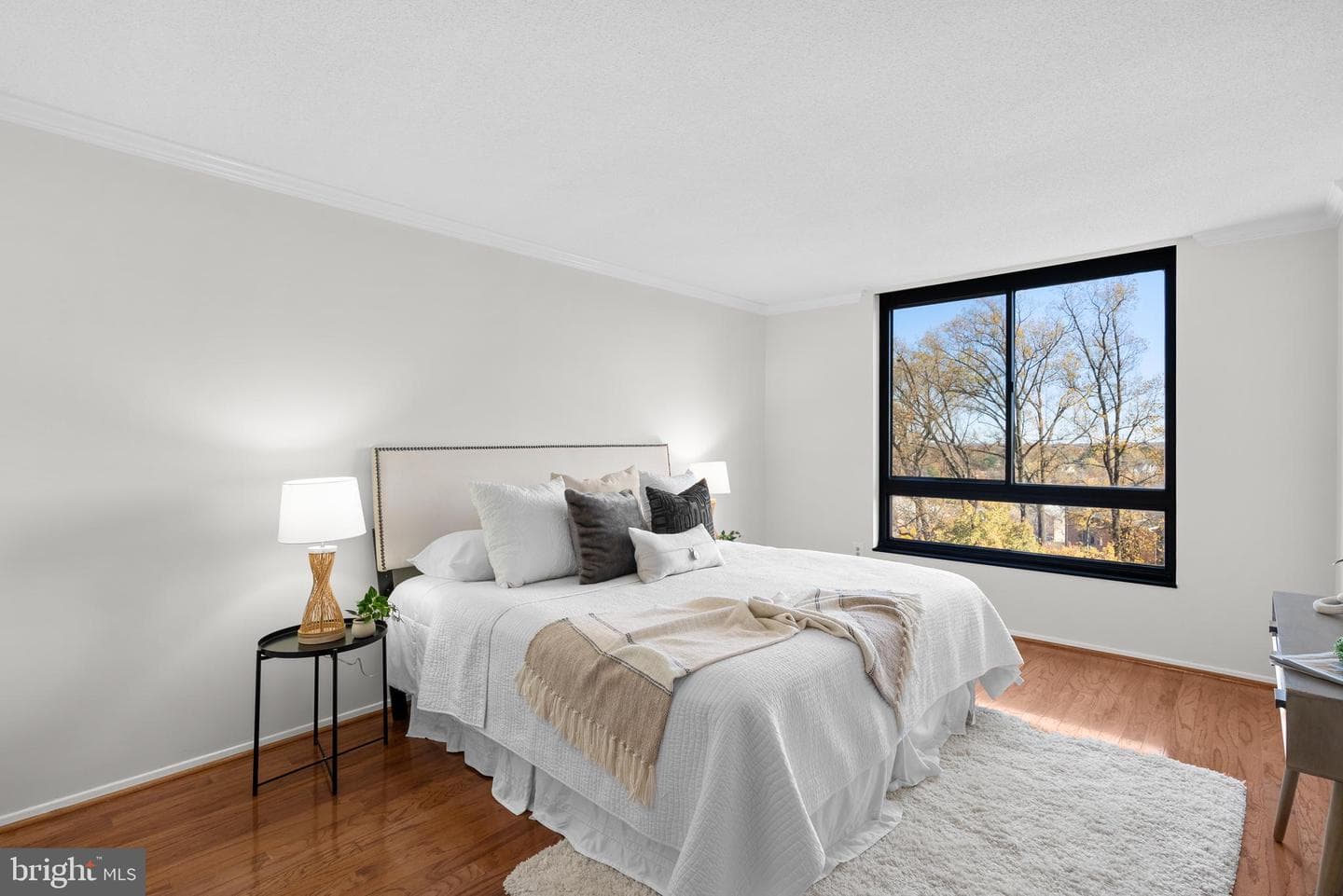 1808 Old Meadow Road #906 photo 14