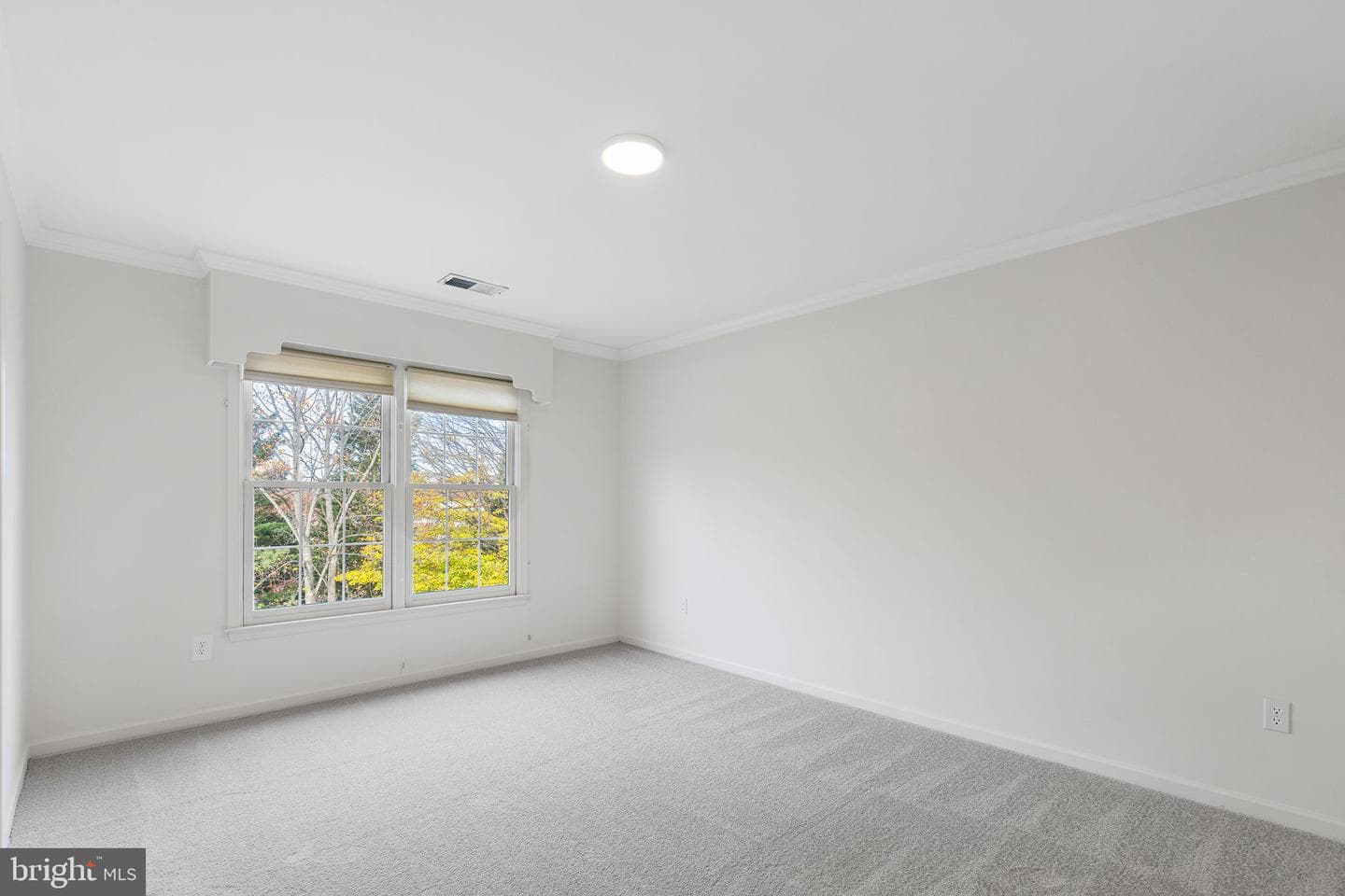 7711 Pott Court photo 23
