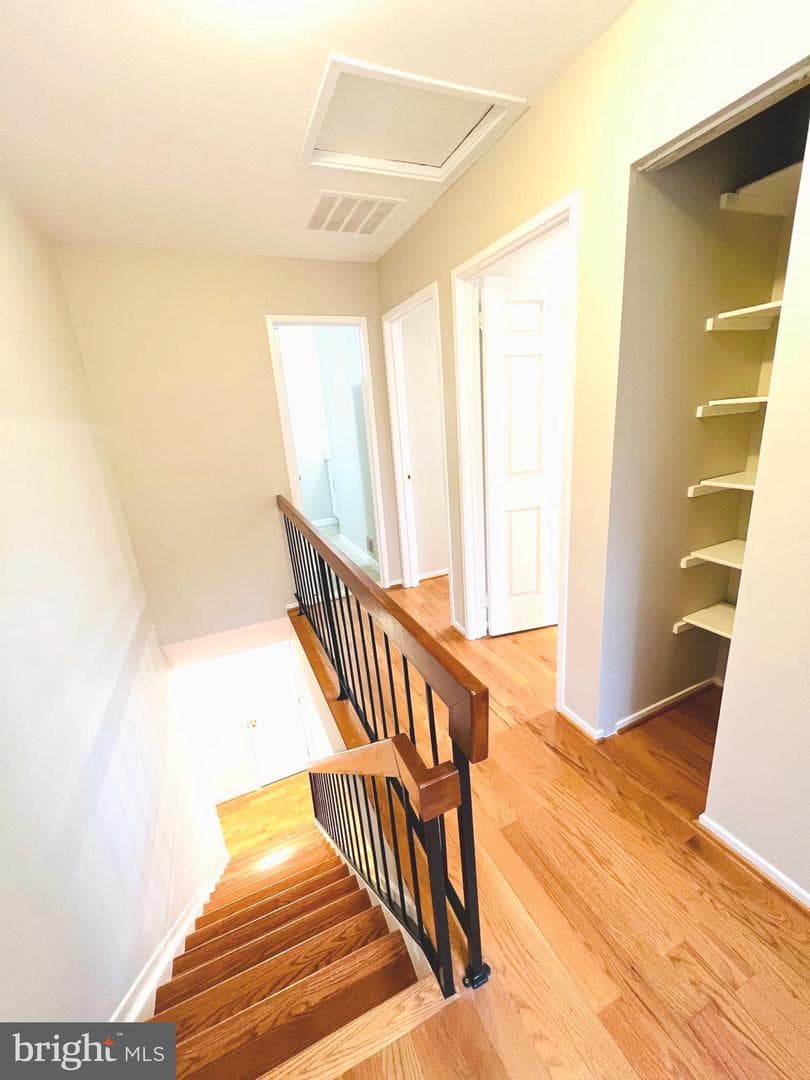13520 Tranquility Court photo 18