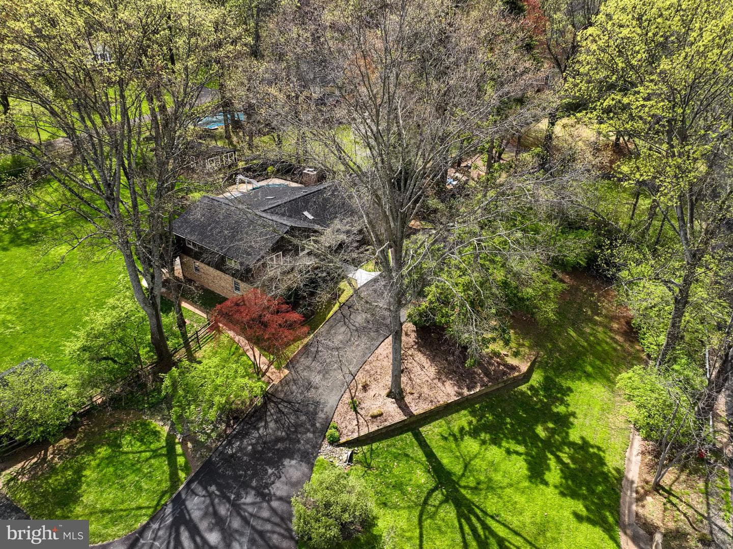 10407 Samaga Drive photo 5