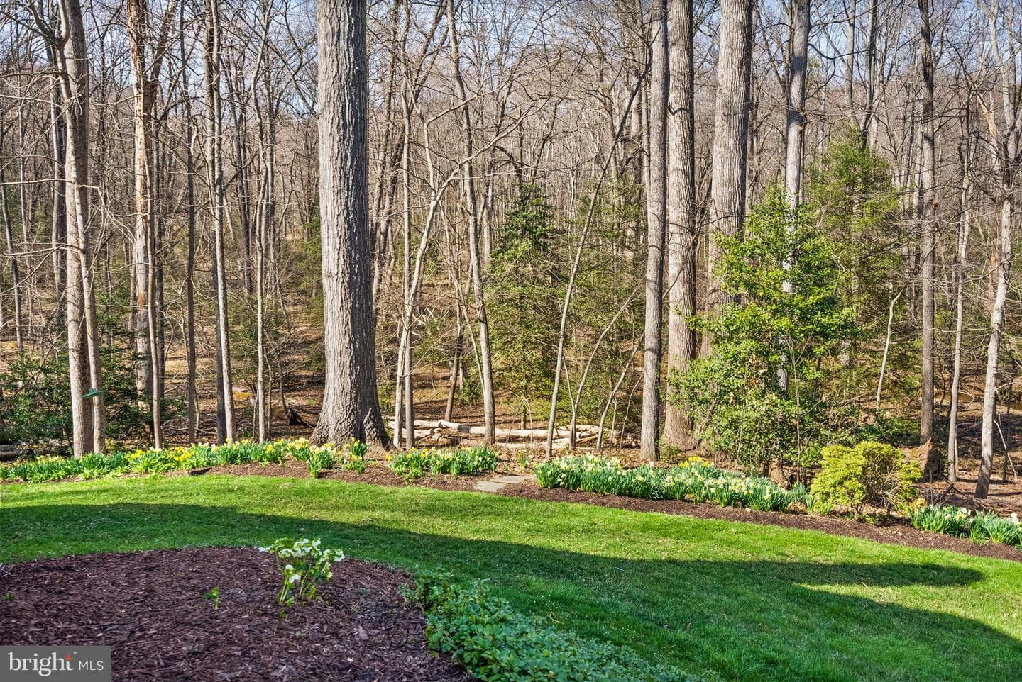 11728 Stuart Mill Road photo 6