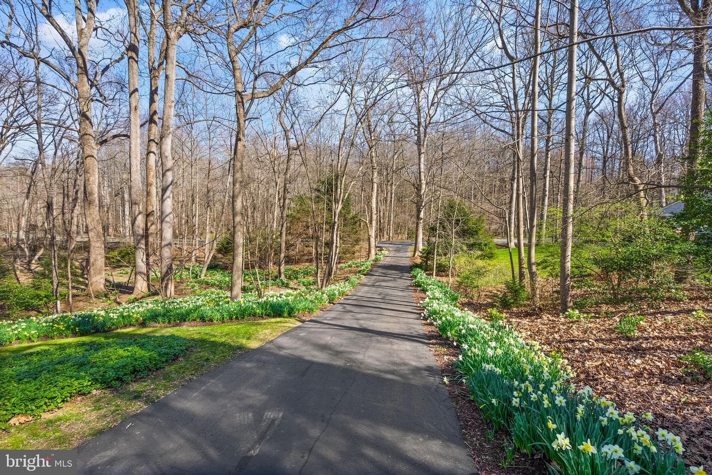 11728 Stuart Mill Road photo 66