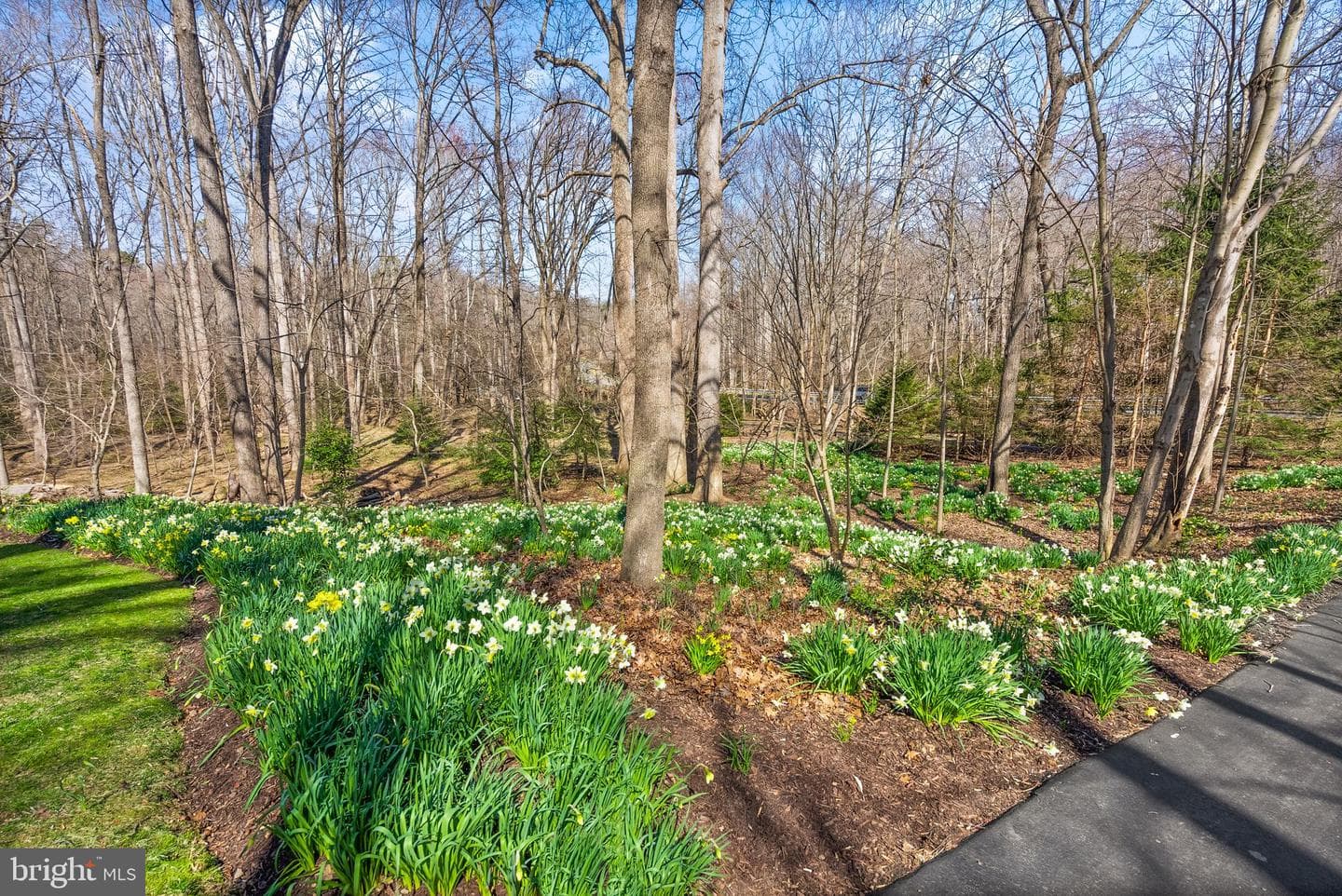 11728 Stuart Mill Road photo 67