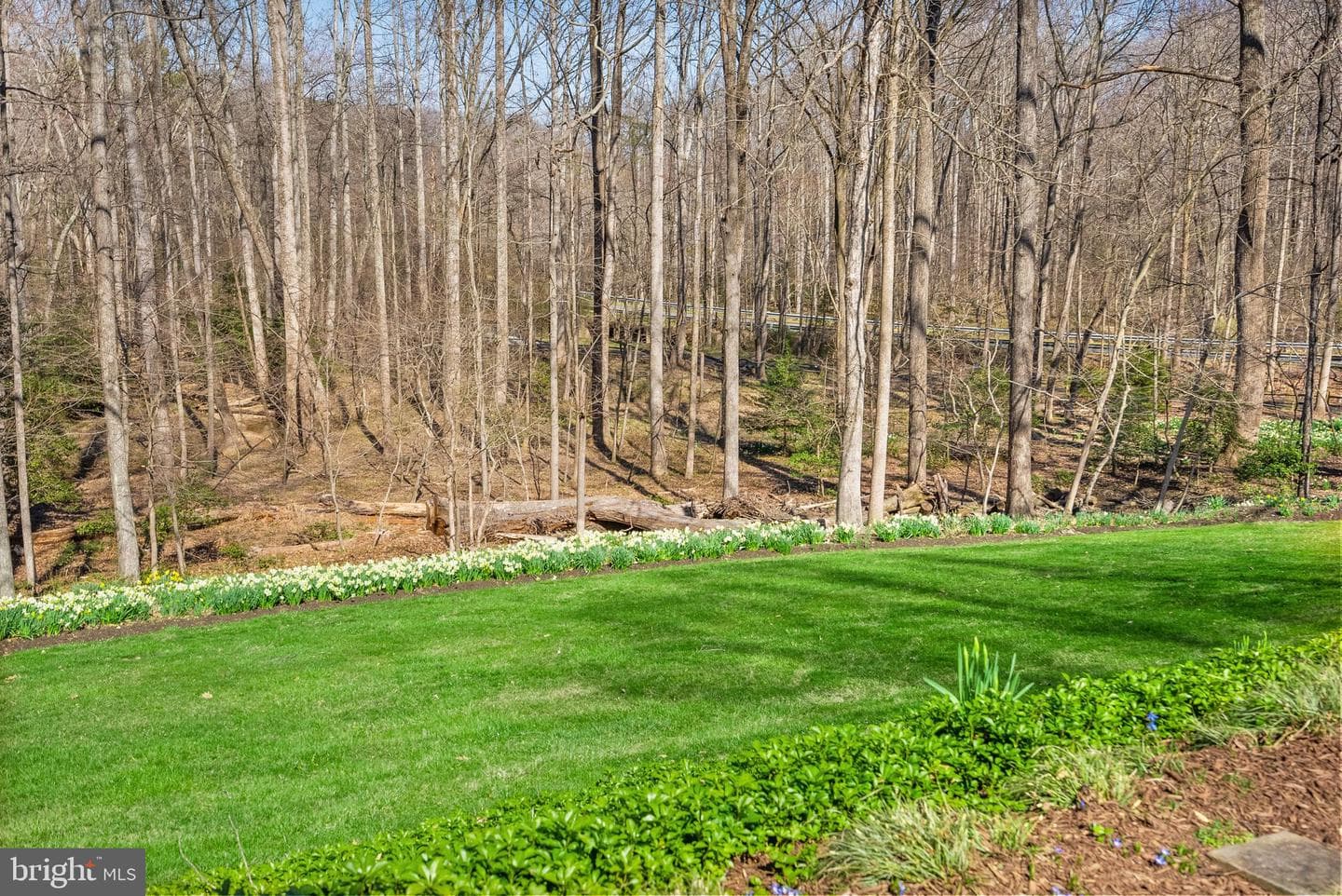 11728 Stuart Mill Road photo 68