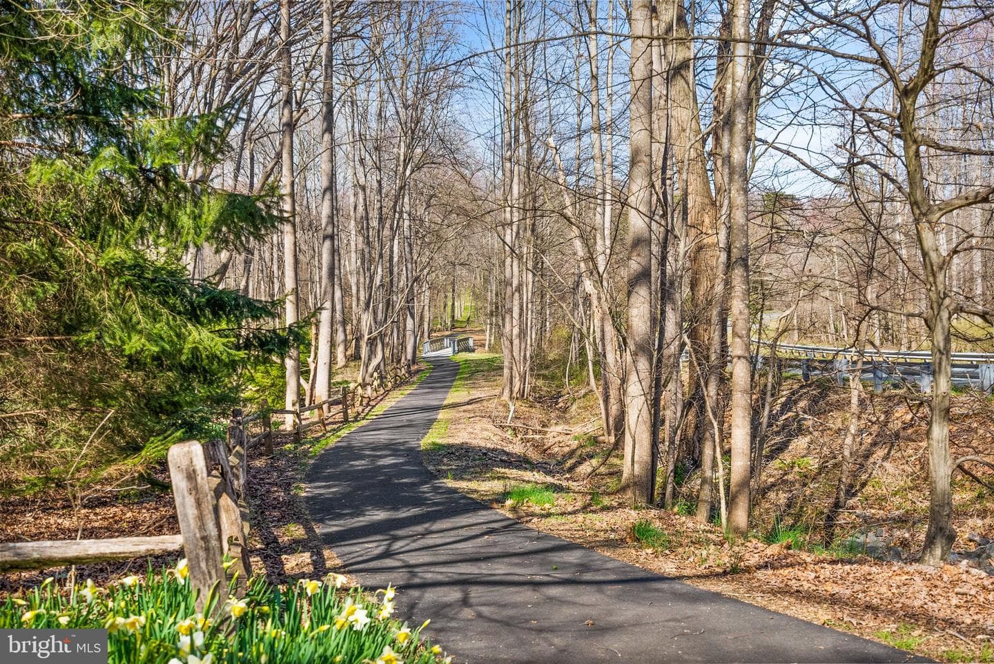 11728 Stuart Mill Road photo 69