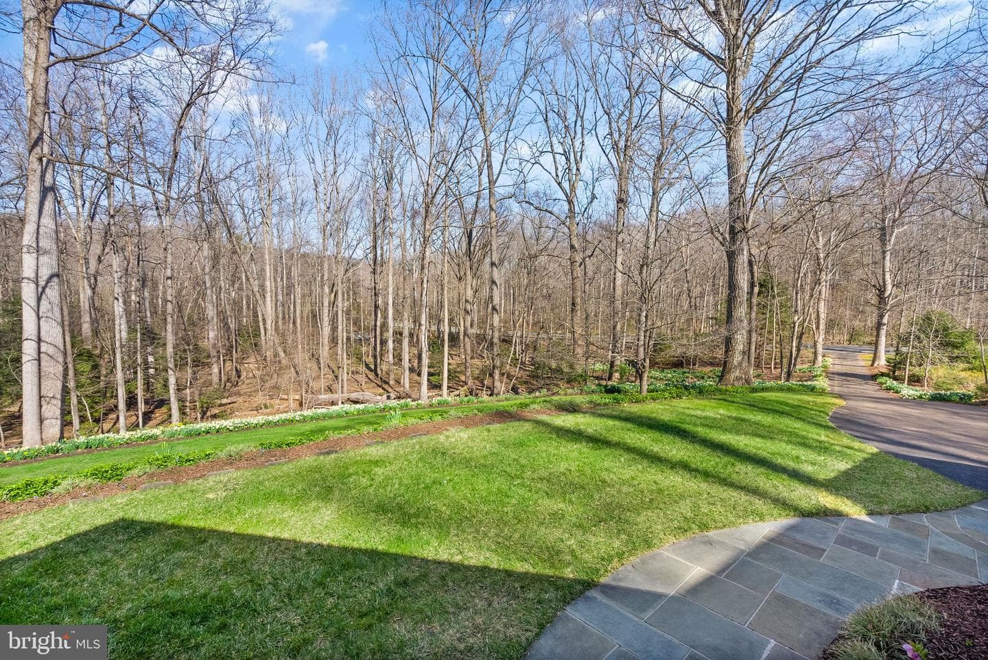 11728 Stuart Mill Road photo 7