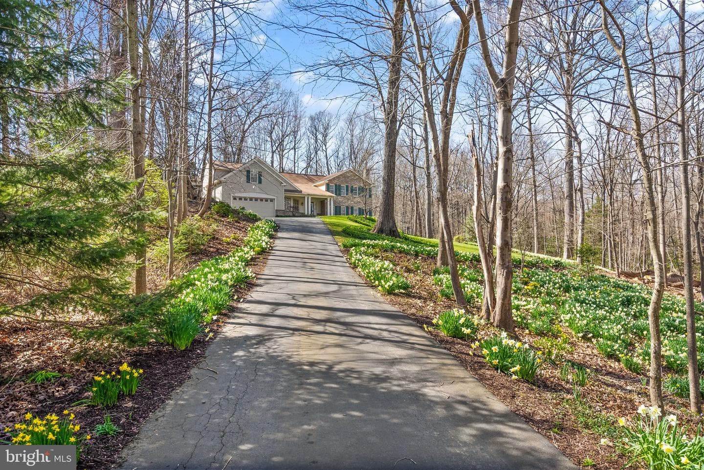 11728 Stuart Mill Road photo 72