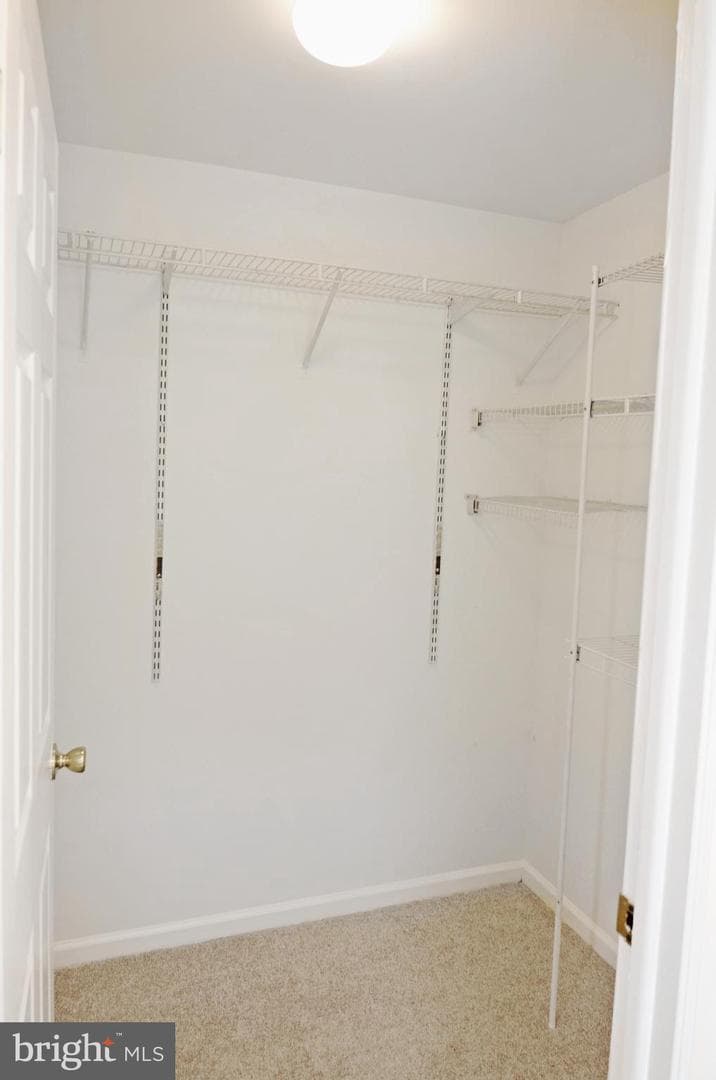 14210 Eagle Button Court photo 24