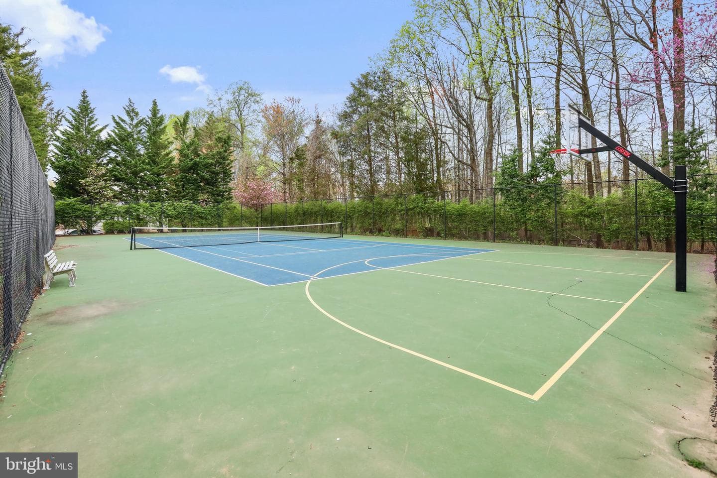 12456 Erica Hill Lane photo 35