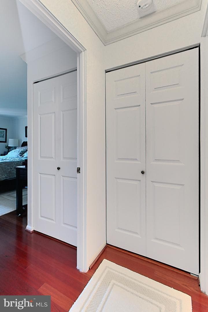 5901 Mount Eagle Drive #1212 photo 33