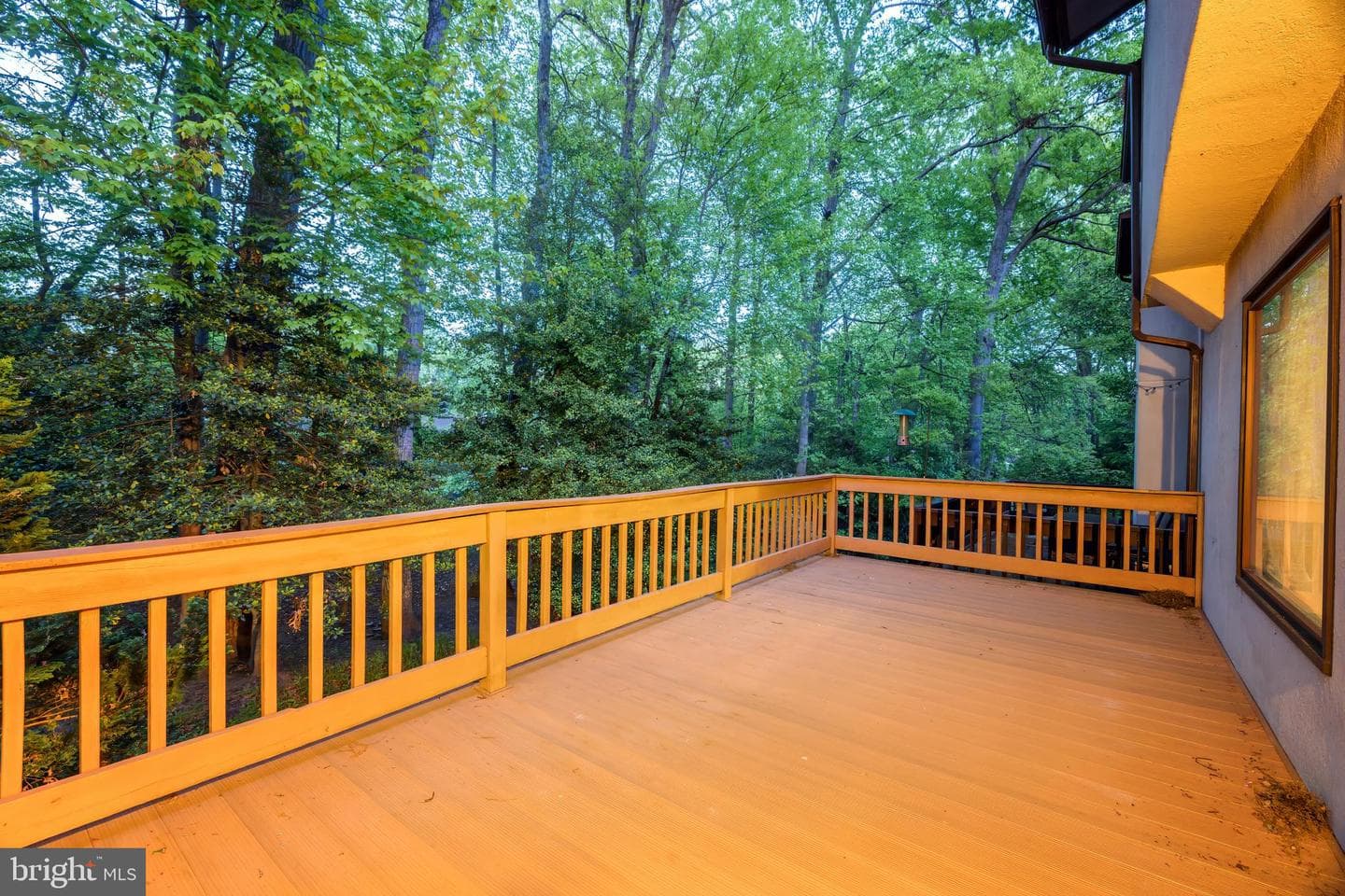2302 Glade Bank Way photo 5