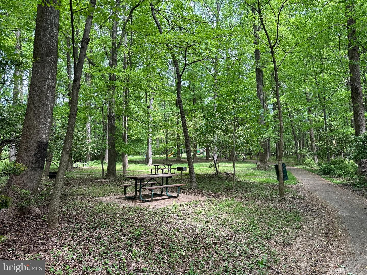 8529 Minerva Court photo 47