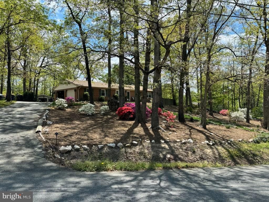 7057 Barbara Road photo 54