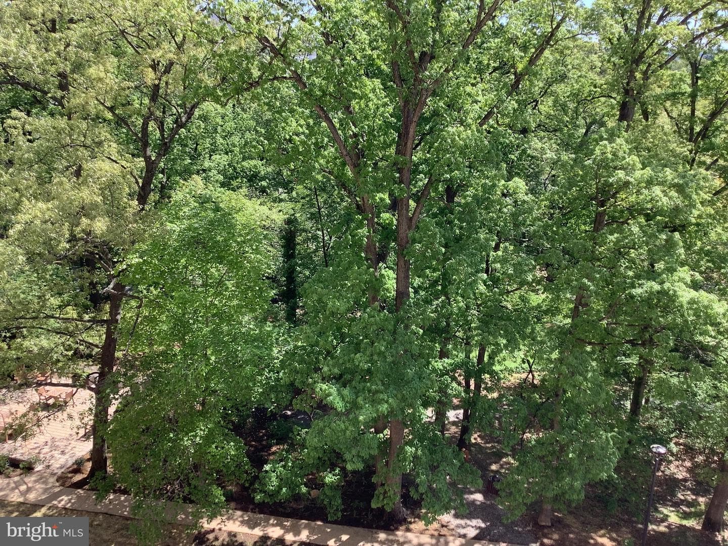 5904 Mount Eagle Drive #506 photo 18