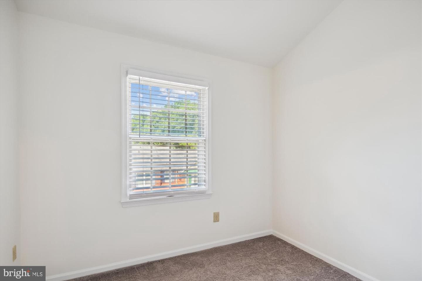6509 Castine Lane photo 22