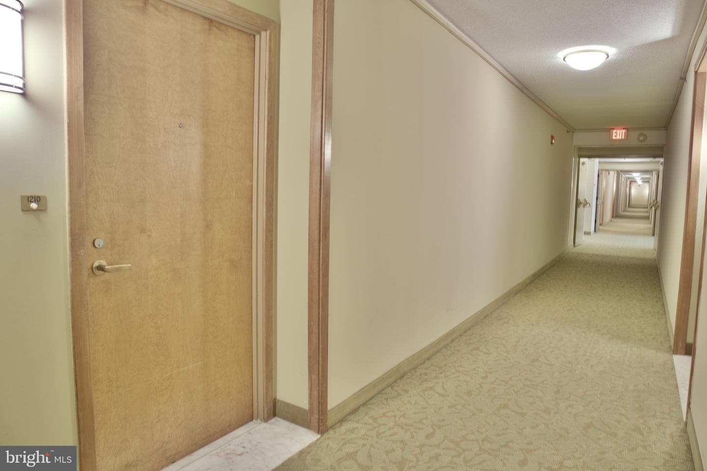 5505 Seminary Road #1210n photo 8