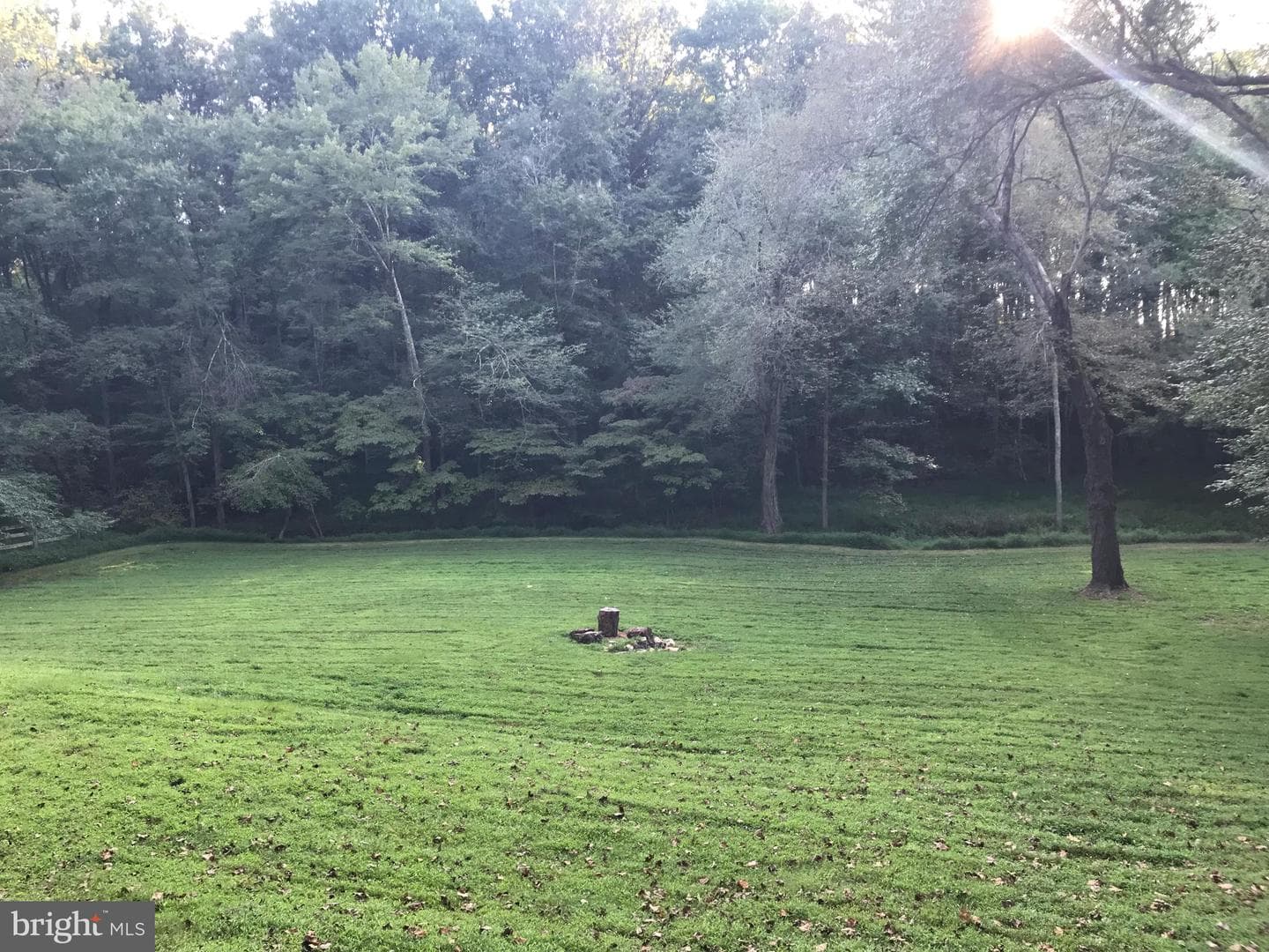 10209 Beach Mill Road photo 8