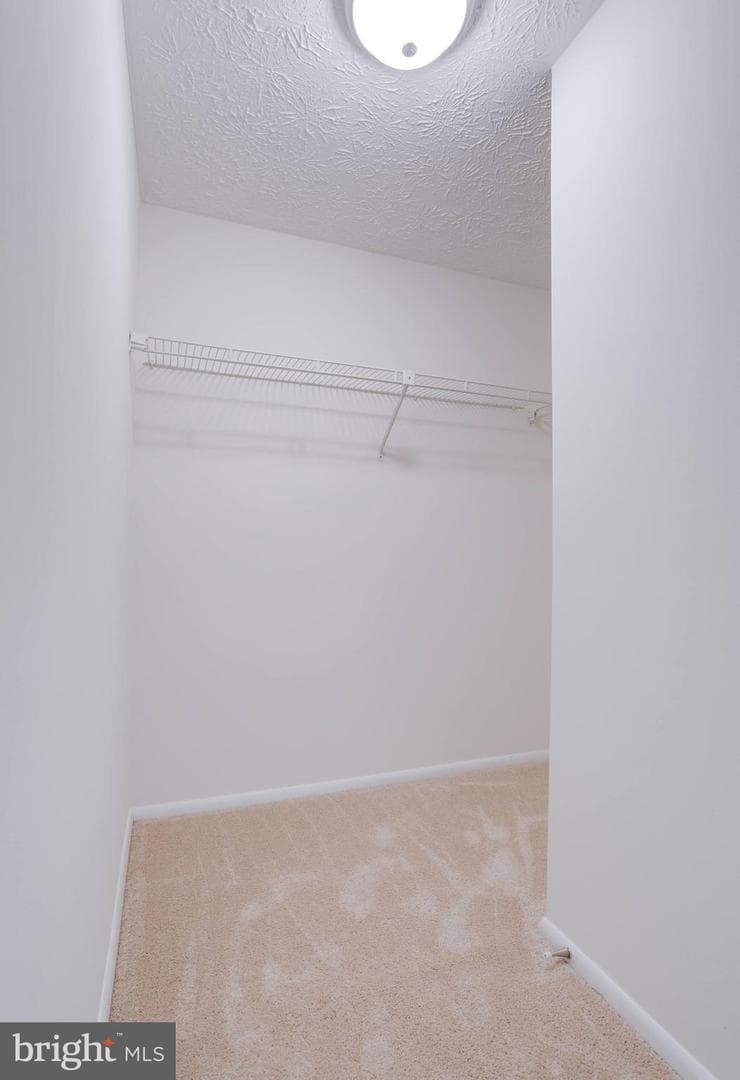 5516 Whitfield Court photo 23