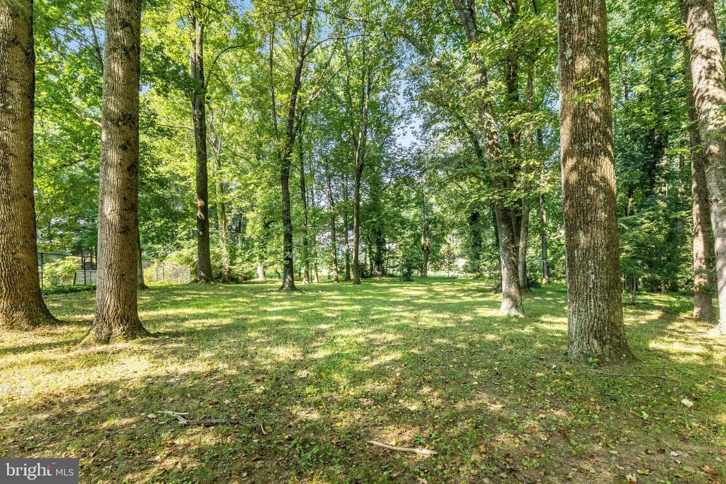 1708 Beulah Road photo 22