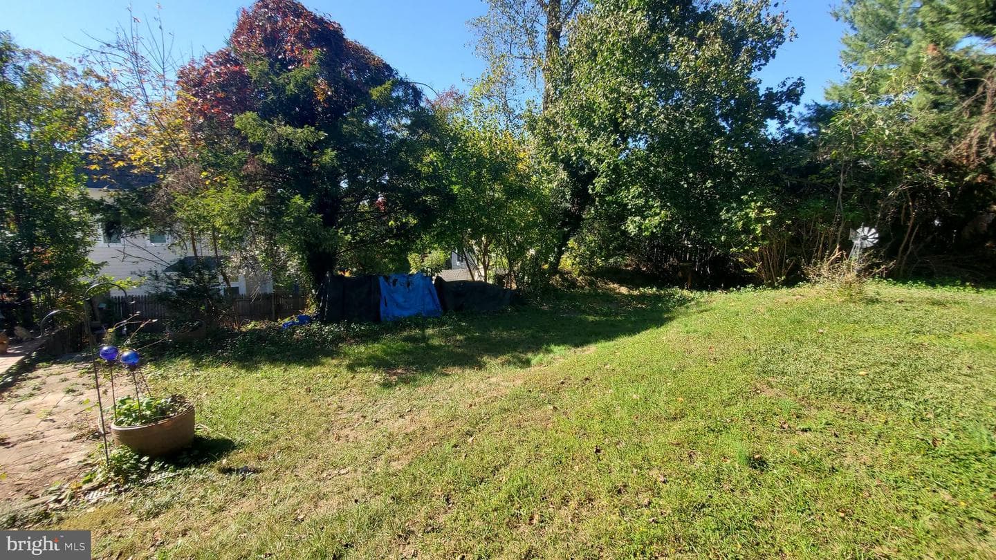 6910 Mount Daniel Drive photo 10
