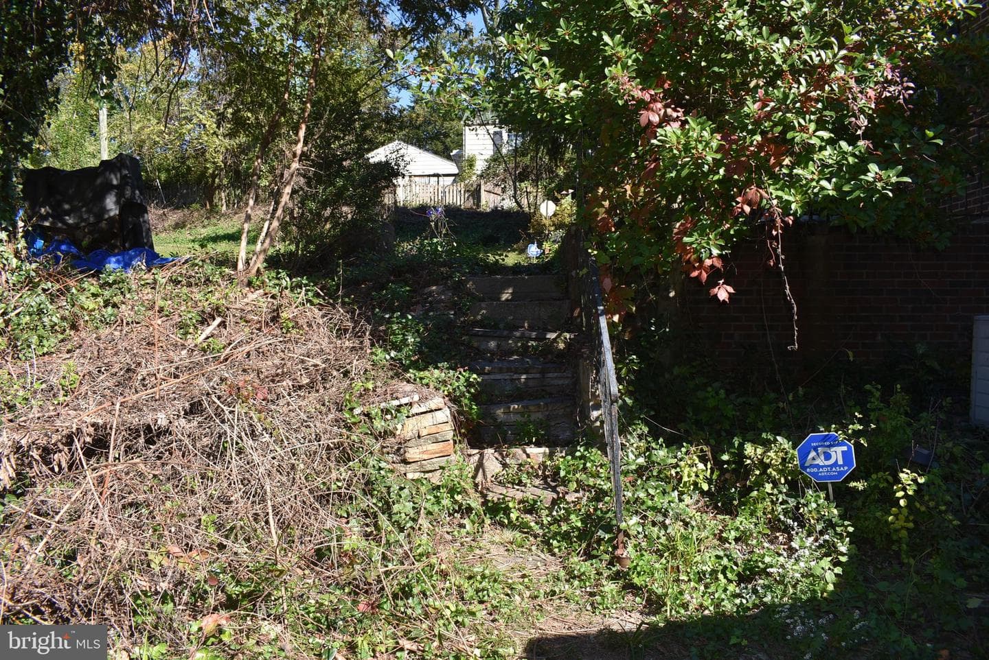 6910 Mount Daniel Drive photo 12