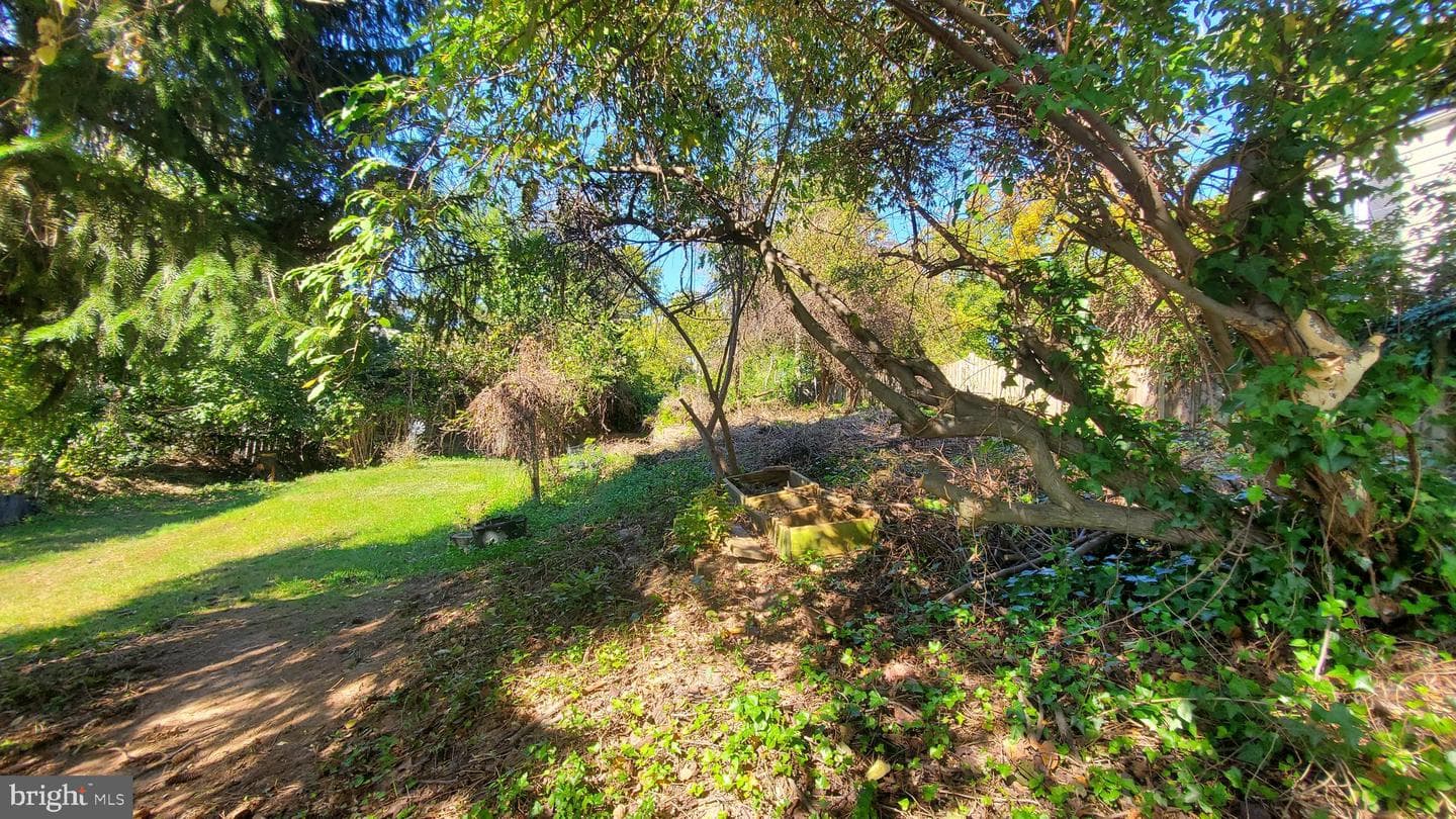 6910 Mount Daniel Drive photo 8