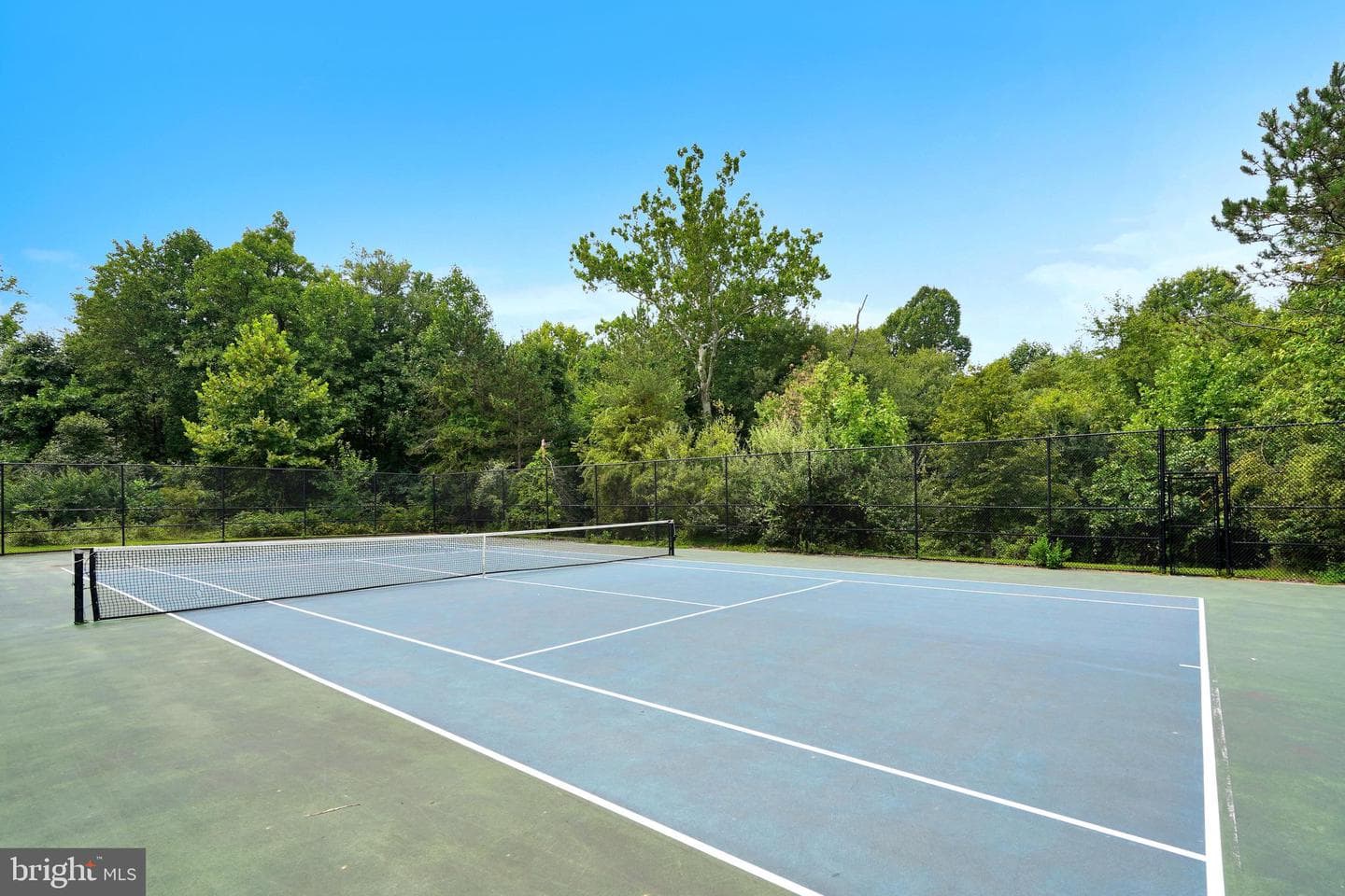 11456 Log Ridge Drive photo 42